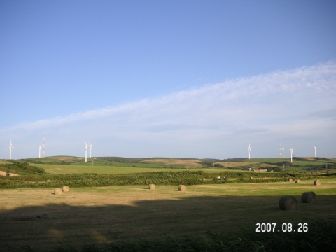 s_PICT0113.jpg